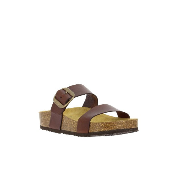 Plakton 343004 ROBLE