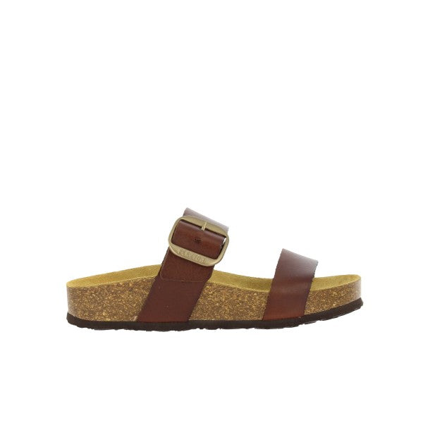 Plakton 343004 ROBLE
