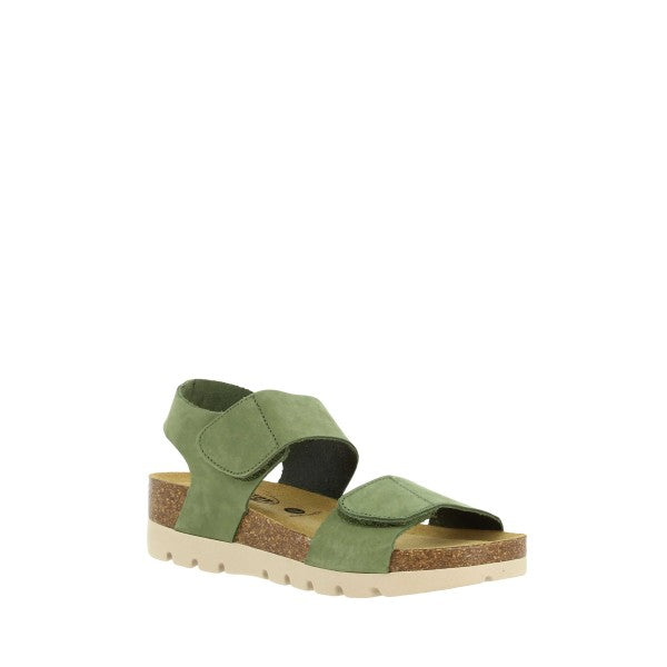Plakton 355887 OLIVA