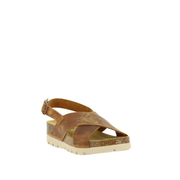 Plakton 356134 ROBLE