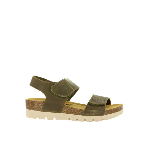 Plakton 356887 KAKI