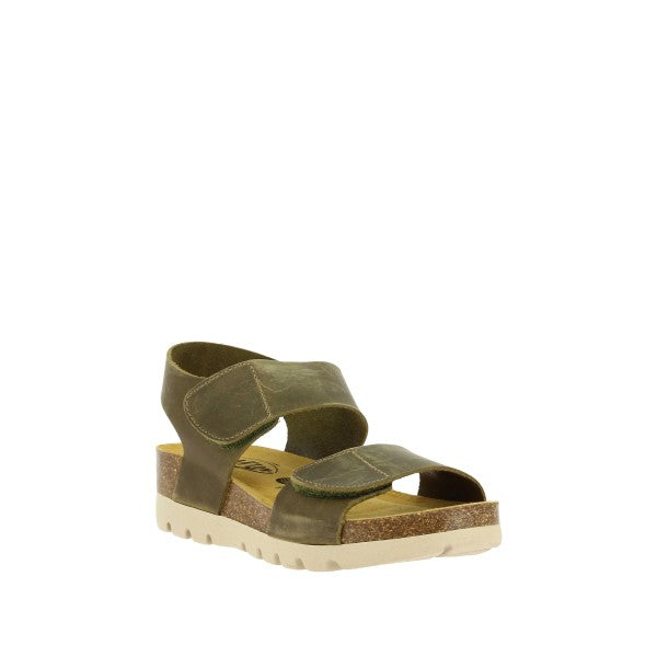Plakton 356887 KAKI-731