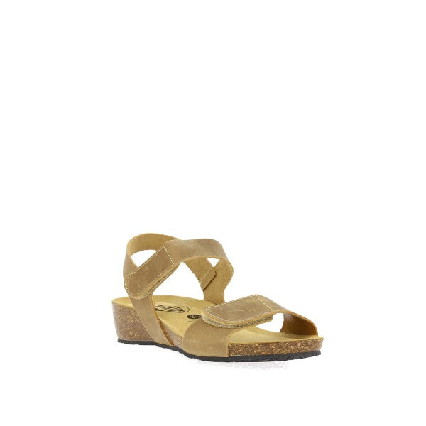 Plakton 775893 BEIGE
