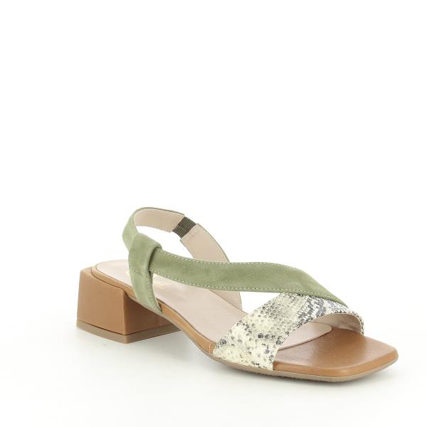 Quait 20233 KAKI-MULTI