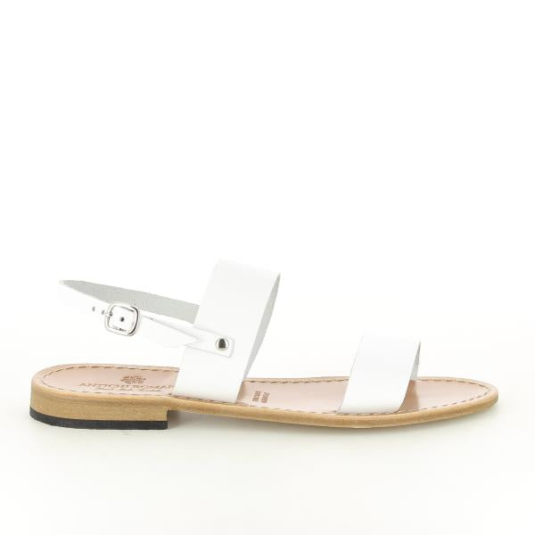 Antichi Romani 010 WHITE