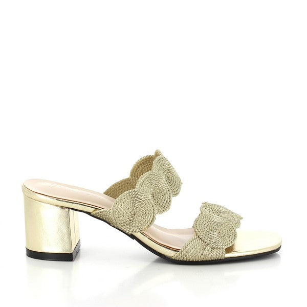 Dalessi DIALS GOLD