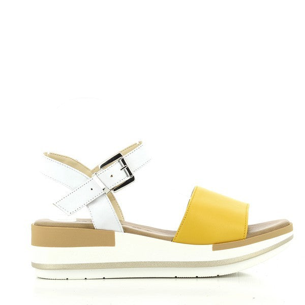 Marco Dalessi DARIA YELLOW