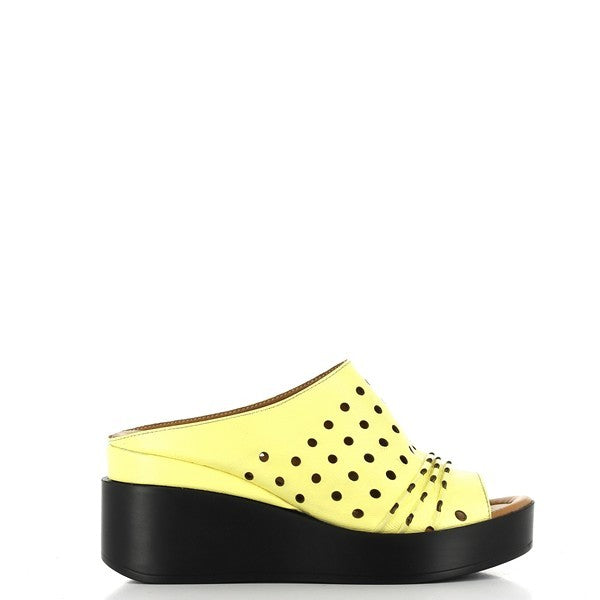 Marco Dalessi EDAM YELLOW
