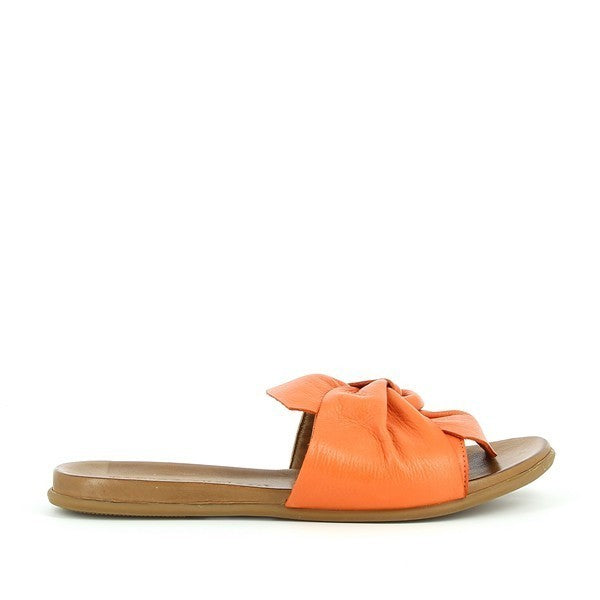 Marco Dalessi KNOT CORAL