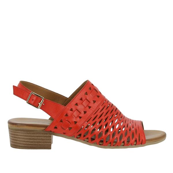 Marco Dalessi SAPOR RED