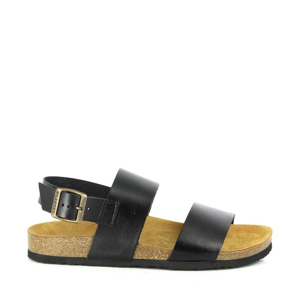 Plakton 105838 NEGRO