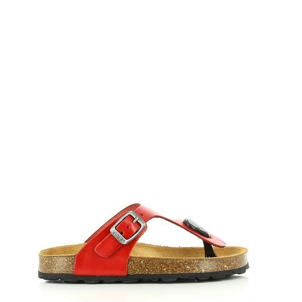 Plakton 111671 RED