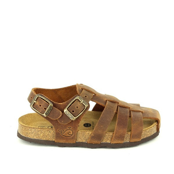 Plakton 125096 ROBLE