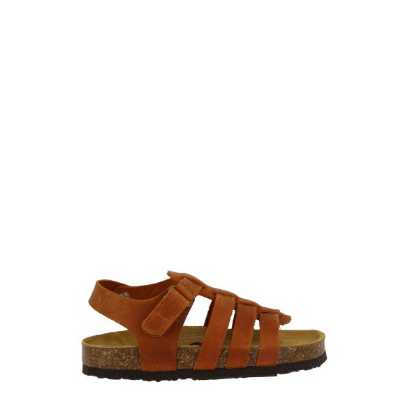 Plakton 125381 CUERO-534