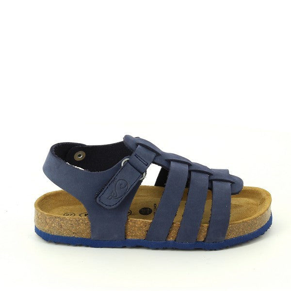 Plakton 125381 BLUE
