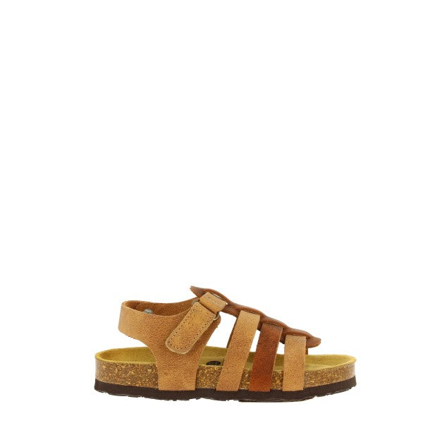 Plakton 125381 BLUE-MULITI