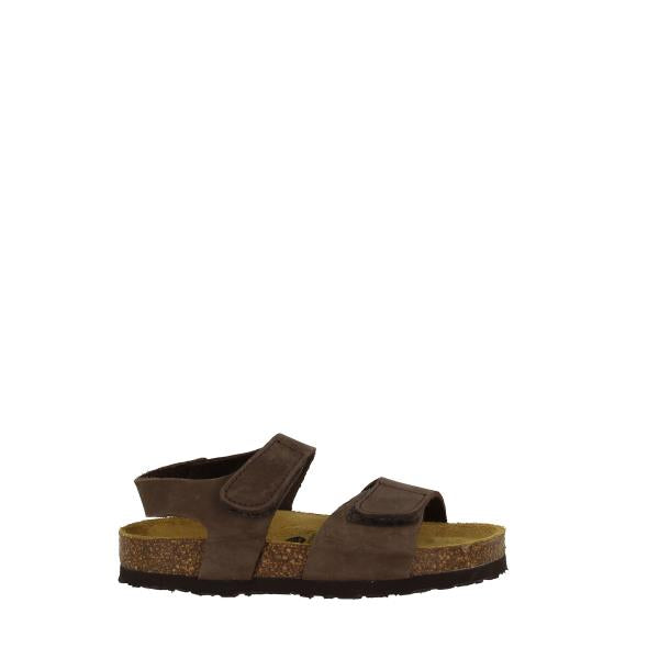 Plakton 125459 MORESCO