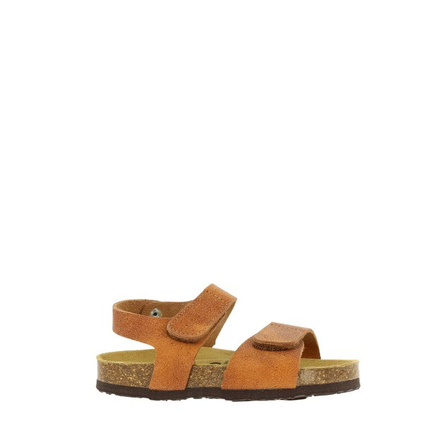 Plakton 125459 CUERO-3