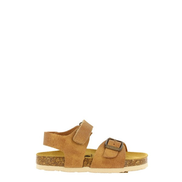 Plakton 125477 BEIGE-01