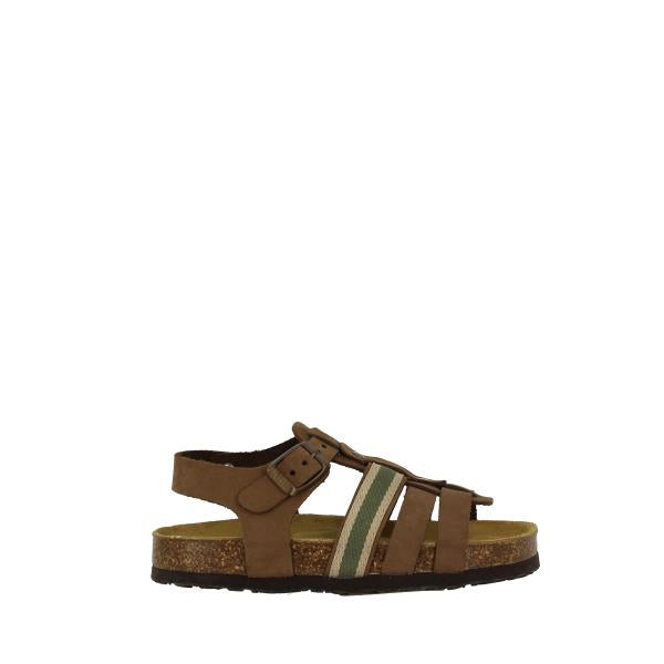 Plakton 125639 CASTAGNA