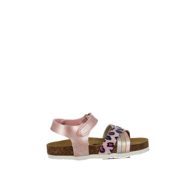 Plakton 135284 MALVE-MUTIL