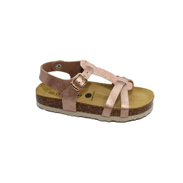 Plakton 135384 SALMON-MULTI