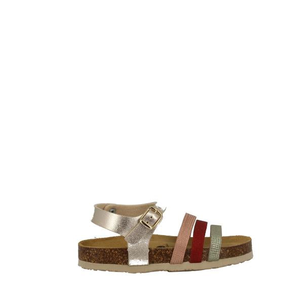 Plakton 136196 GREEN-GOLD-MULTI