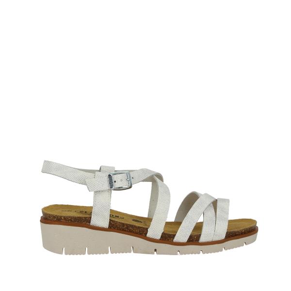 Plakton 156210 BLANCO