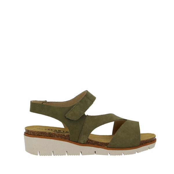 Plakton 156213 KAKI