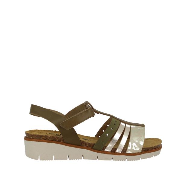 Plakton 156217 KAKI-ORO-MULTI
