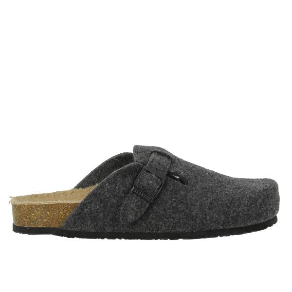 Plakton 171539 ANTRACITA
