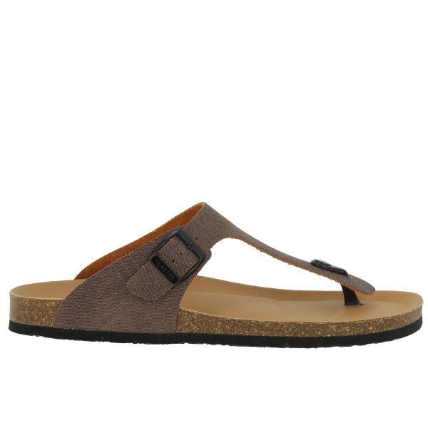 Plakton 175081 CASTOR-723