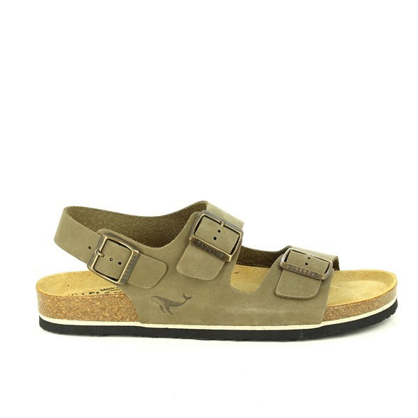 Plakton 175113 KAKI