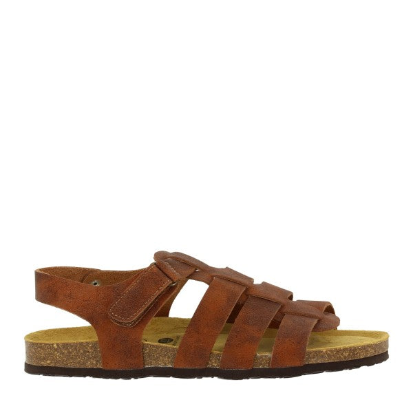 Plakton 175381 ROBLE 02