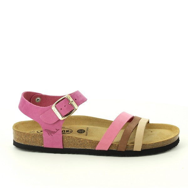 Plakton 181007 FUXIA-MULTI