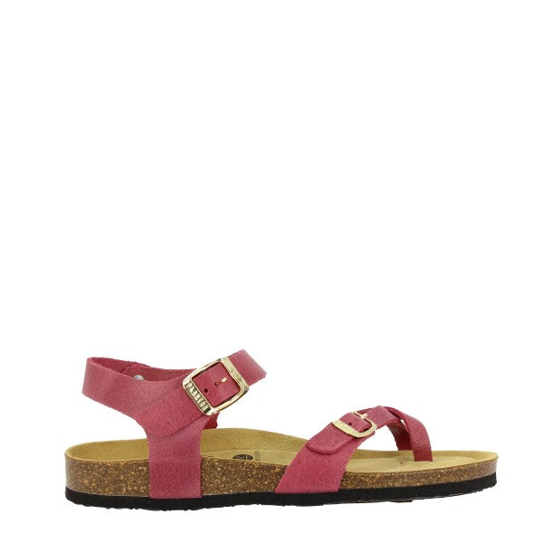 Plakton 181016 CIELO-MULTI