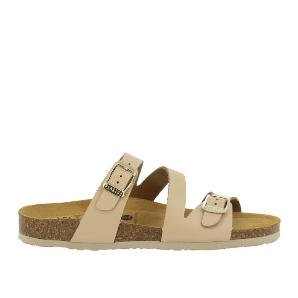 Plakton 181210 VERDE-6-MULTI