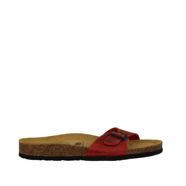 Plakton 181625 ROJO-556
