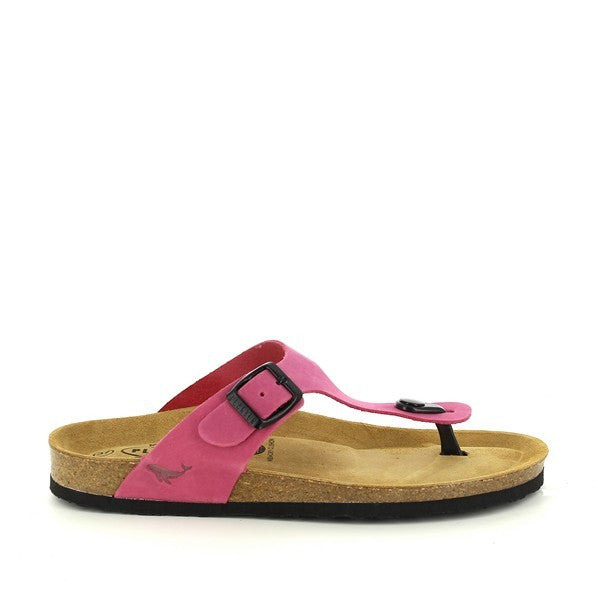 Plakton 181671 TAUPE-51