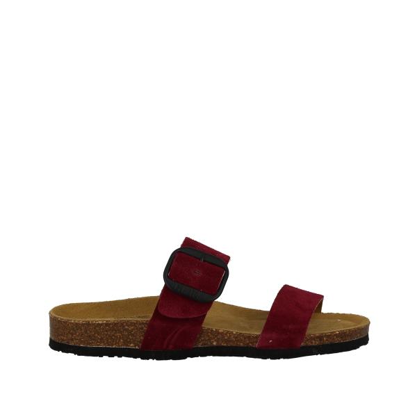 Plakton 183004 BURDEOS-556