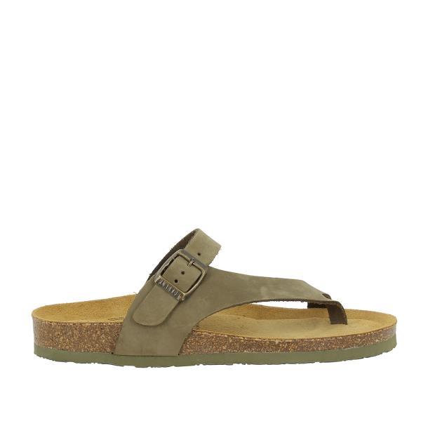 Plakton 185446 MIEL