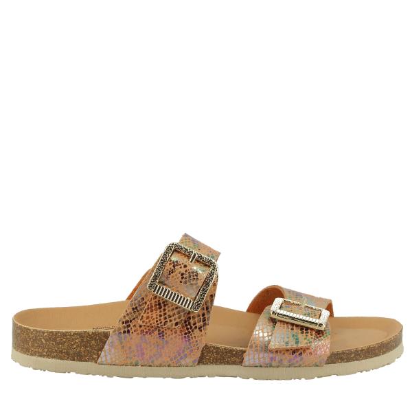 Plakton 185589 ORANGE-MULTI