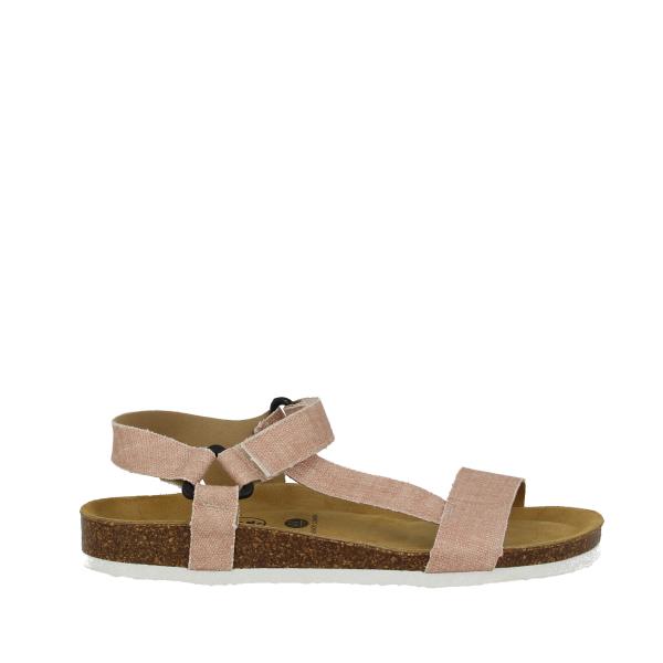 Plakton 186127 CORAL