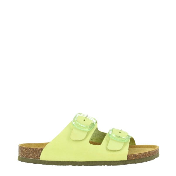 Plakton 186317 VERDE ACIDO