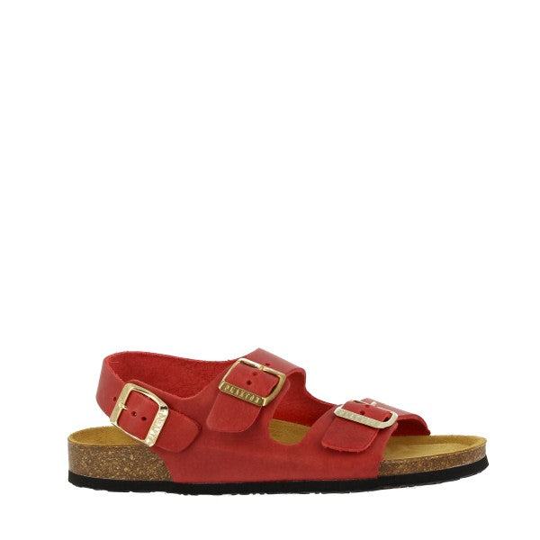 Plakton 186396 ROJO