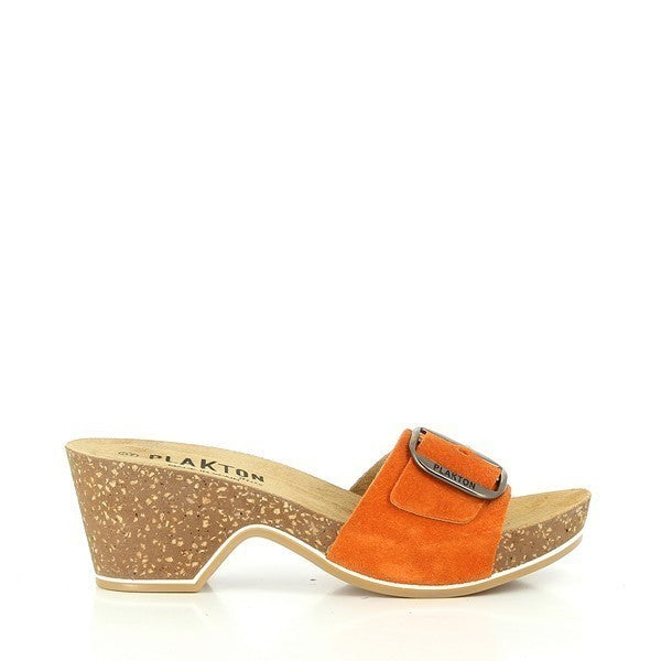 Plakton 221018 ORANGE