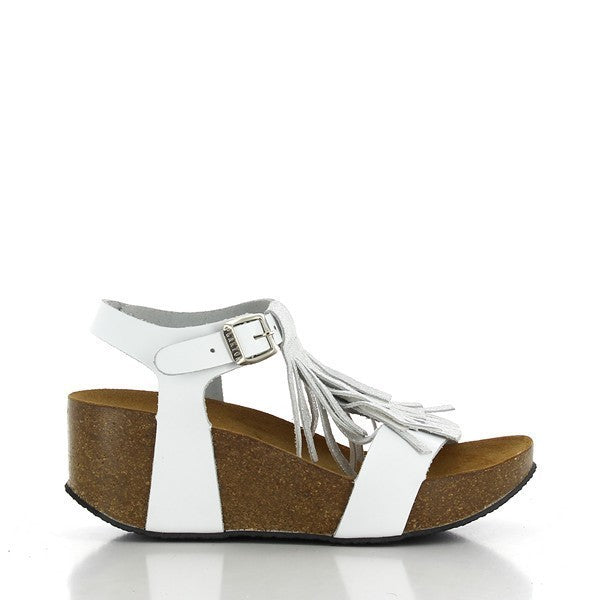 Plakton 275275 BLANCO