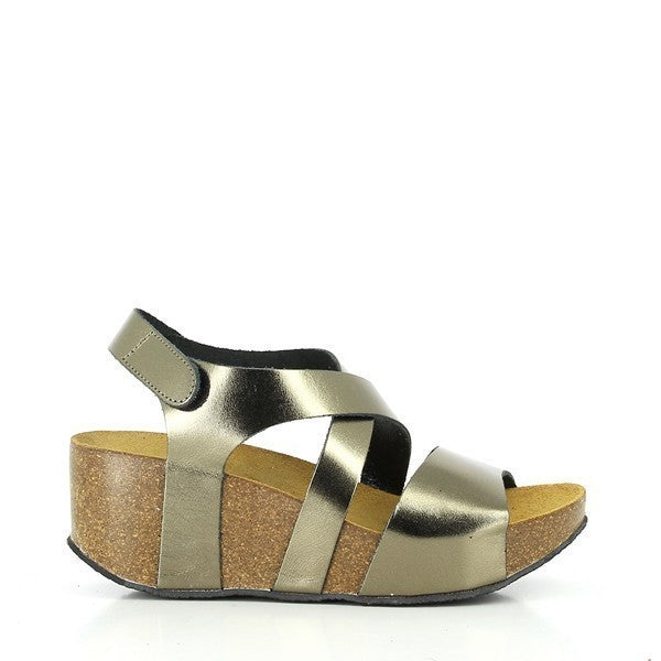 Plakton 275644 BRONCE