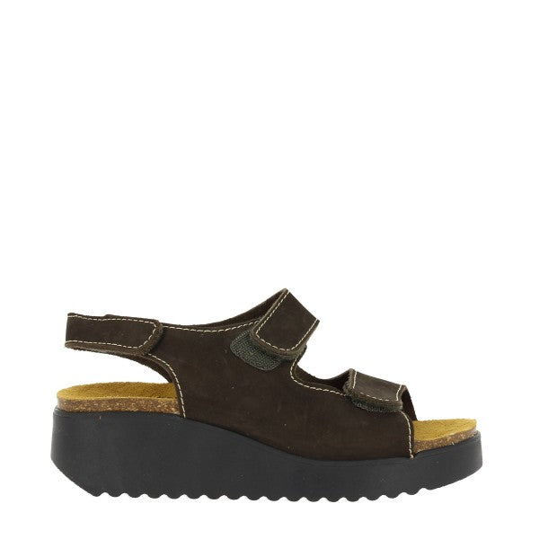 Plakton 336441 MARRON
