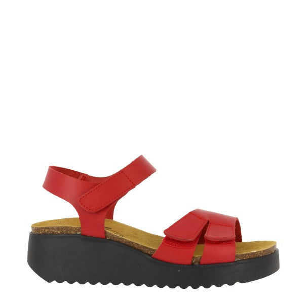 Plakton 336443 ROJO